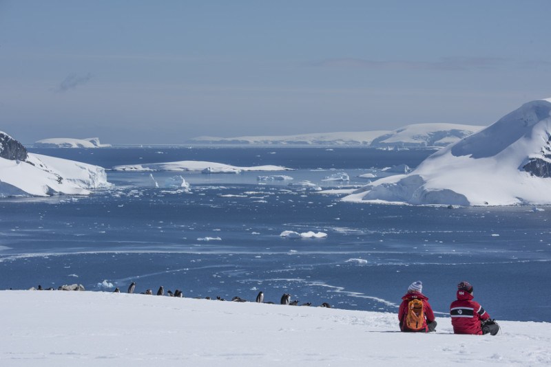 hikers enjoying an Antarctic vista