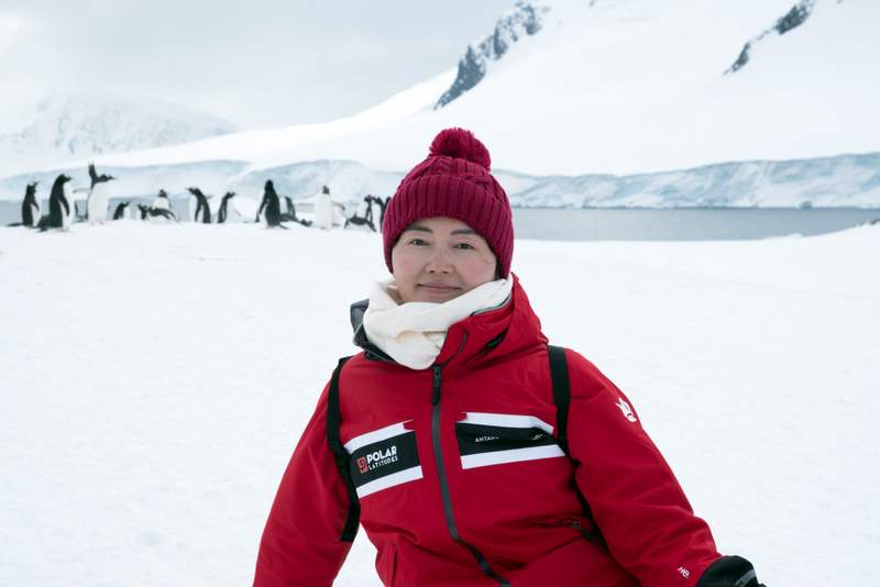 penguin rookery on Danco Island