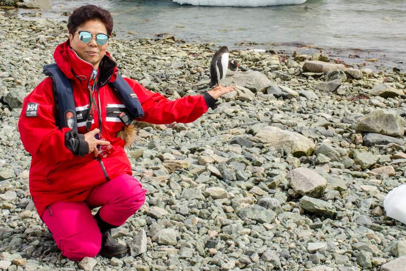 penguin rookery on Danco Island