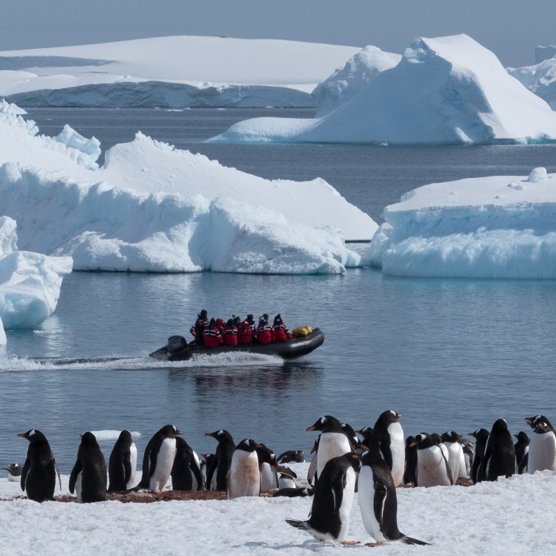 On board auctions donate to Antarctic charities